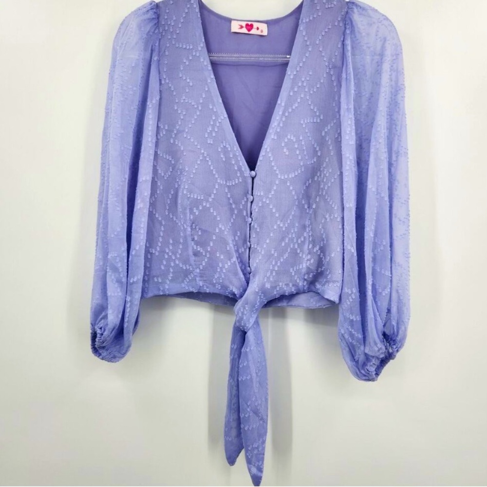 Buddy Love Estelle Tie Front Top Womens Size Medium Periwinkle Long Sleeve Sheer